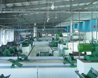 TSR20天然橡膠生產線